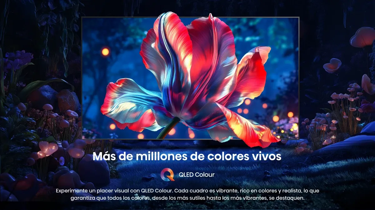 Imagen 4